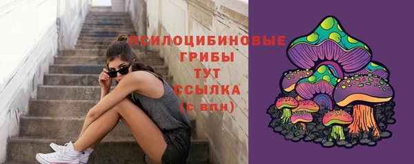 ГАЛЛЮЦИНОГЕННЫЕ ГРИБЫ Переславль-Залесский