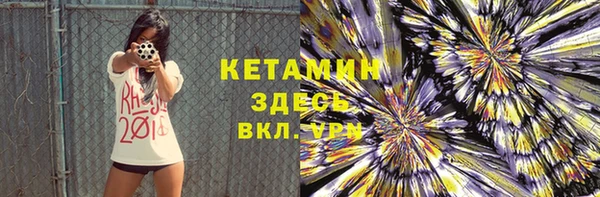 шишки Снежногорск