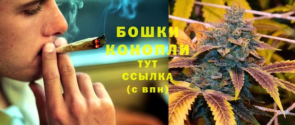 дурь Пестово