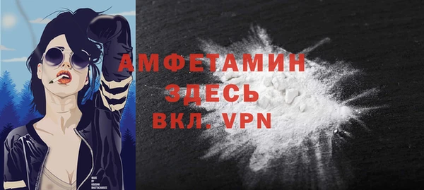 дурь Пестово